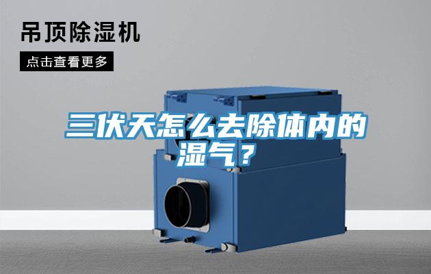 三伏天怎么去除体内的湿气？
