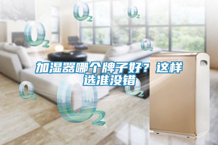 加湿器哪个牌子好？这样选准没错