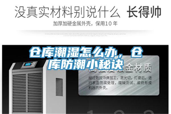 仓库潮湿怎么办，仓库防潮小秘诀