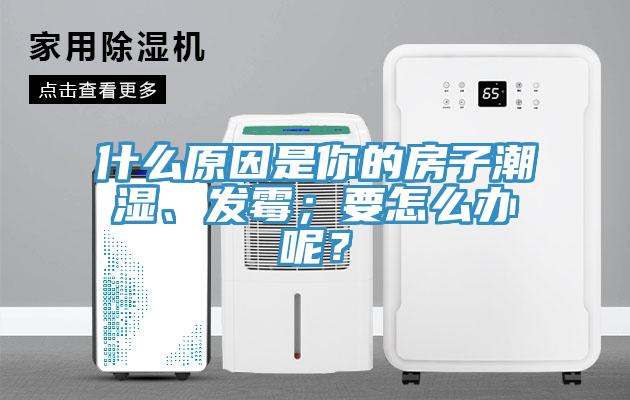 什么原因是你的房子潮湿、发霉；要怎么办呢？