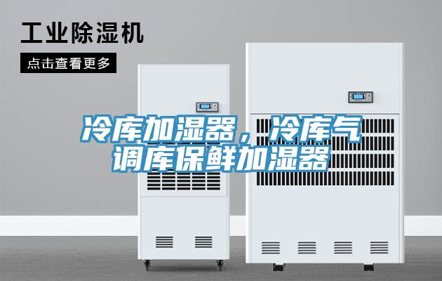 冷库加湿器，冷库气调库保鲜加湿器