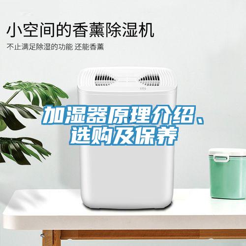 加湿器原理介绍、选购及保养