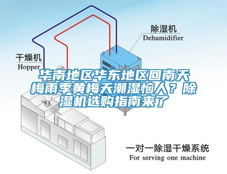 华南地区华东地区回南天梅雨季黄梅天潮湿恼人？除湿机选购指南来了