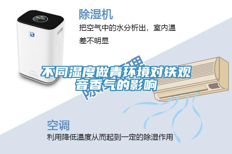 不同湿度做青环境对铁观音香气的影响