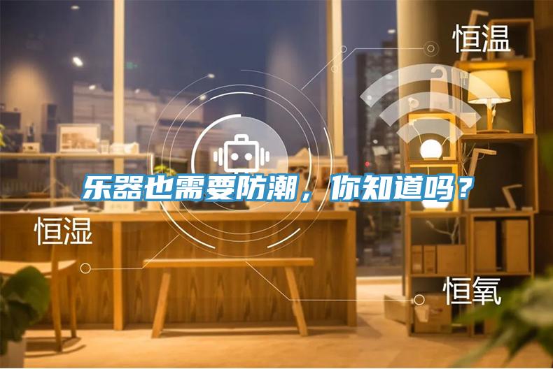 乐器也需要防潮，你知道吗？