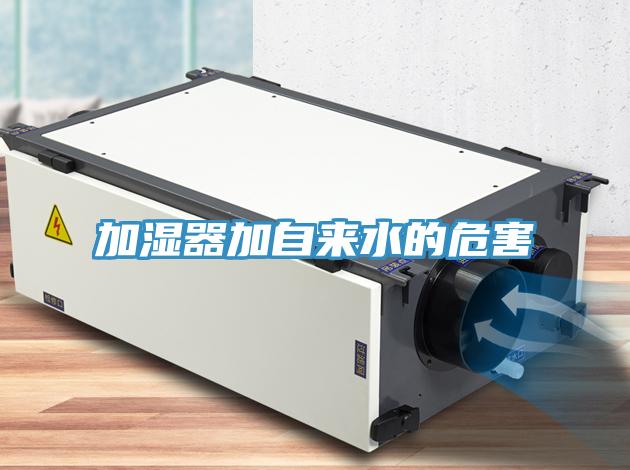 加湿器加自来水的危害