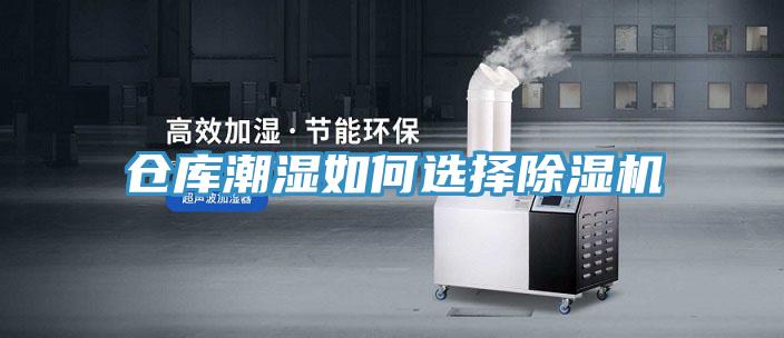 仓库潮湿如何选择除湿机
