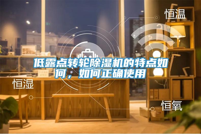 低露点转轮除湿机的特点如何，如何正确使用