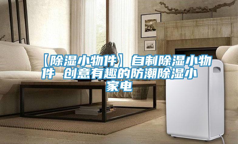 【除湿小物件】自制除湿小物件 创意有趣的防潮除湿小家电