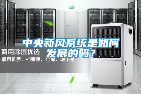 中央新风系统是如何发展的吗？