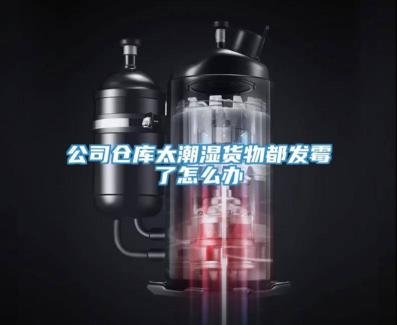 公司仓库太潮湿货物都发霉了怎么办