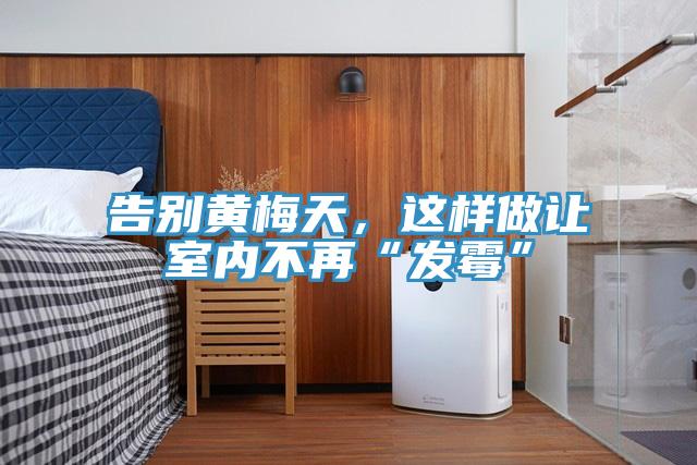 告别黄梅天，这样做让室内不再“发霉”
