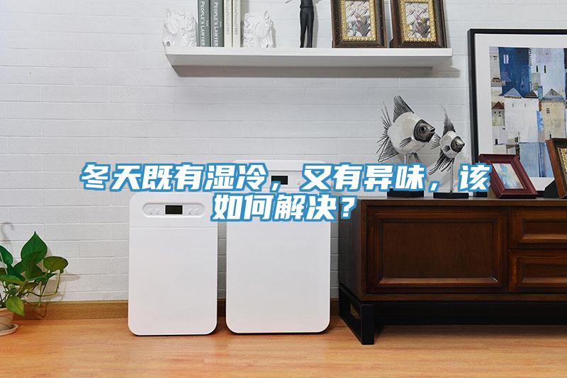 冬天既有湿冷，又有异味，该如何解决？