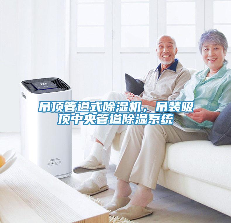 吊顶管道式除湿机，吊装吸顶中央管道除湿系统