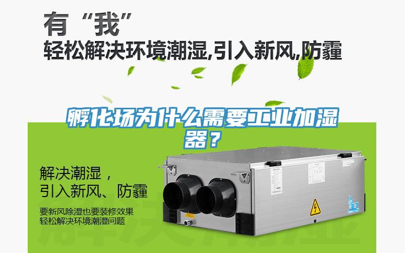 孵化场为什么需要工业加湿器？