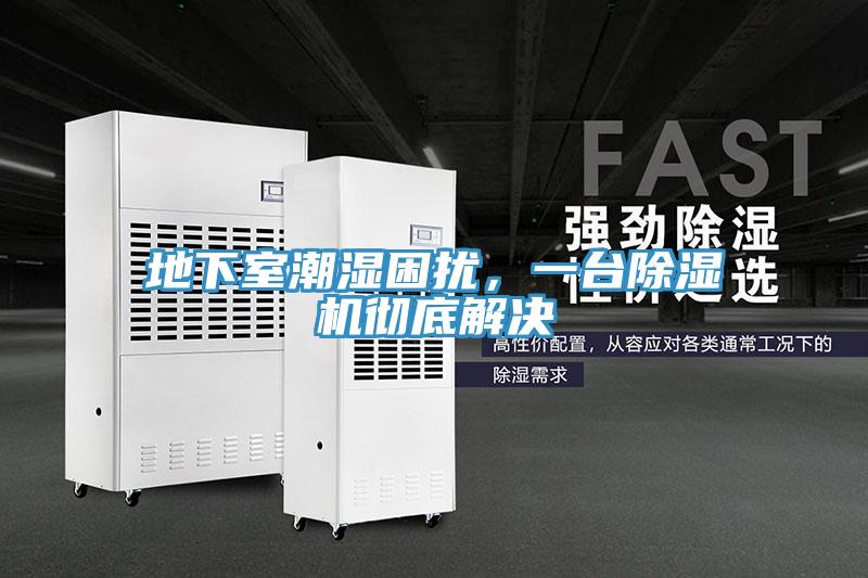 地下室潮湿困扰，一台除湿机彻底解决