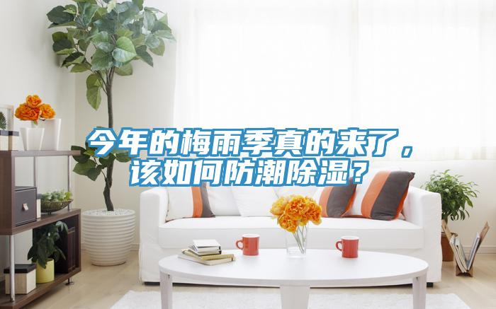 今年的梅雨季真的来了，该如何防潮除湿？