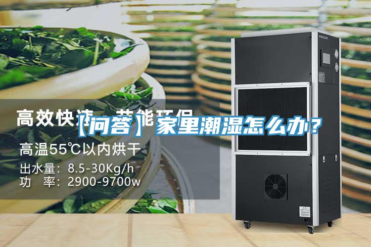 【问答】家里潮湿怎么办？