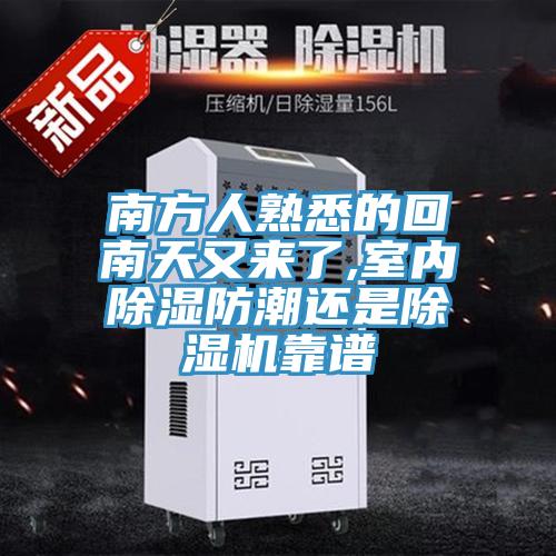 南方人熟悉的回南天又来了,室内除湿防潮还是除湿机靠谱