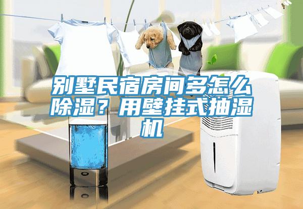 别墅民宿房间多怎么除湿？用壁挂式抽湿机