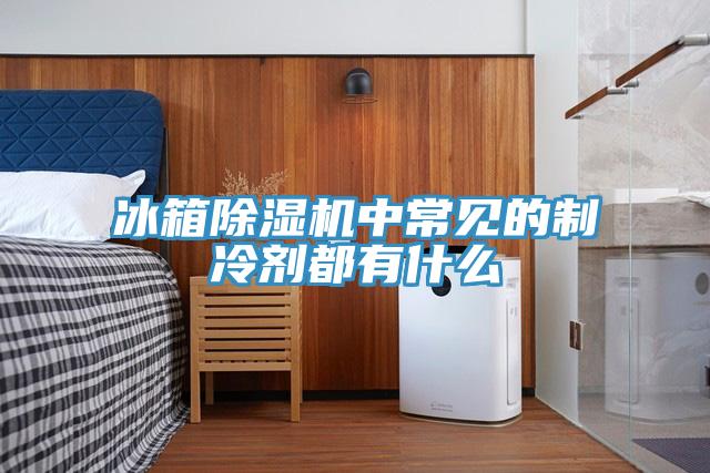 冰箱除湿机中常见的制冷剂都有什么