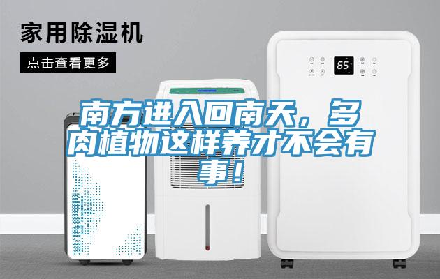 南方进入回南天，多肉植物这样养才不会有事！