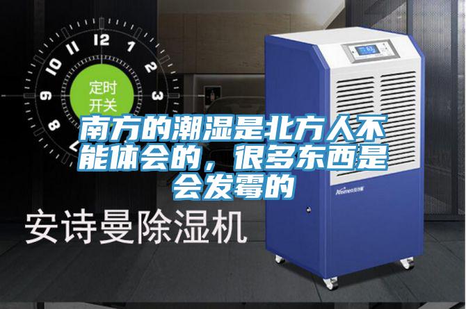 南方的潮湿是北方人不能体会的，很多东西是会发霉的