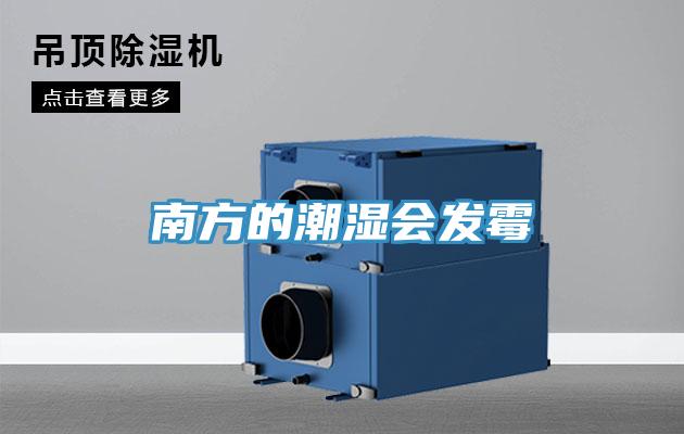 南方的潮湿会发霉