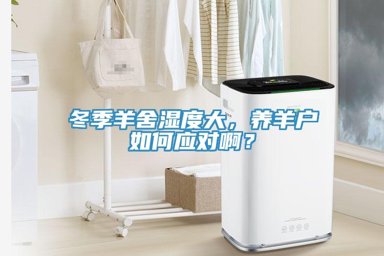 冬季羊舍湿度大，养羊户如何应对??？