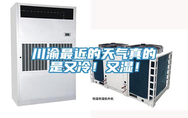 川渝最近的天气真的是又冷！又湿！