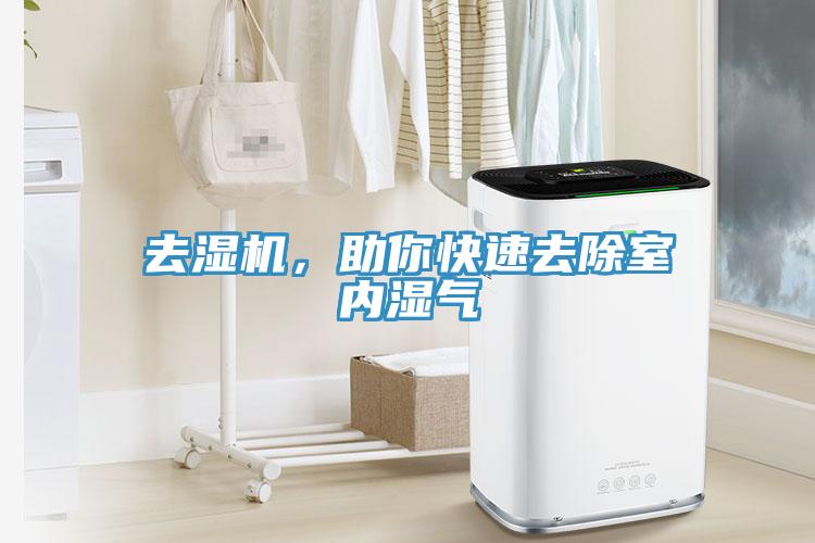 去湿机，助你快速去除室内湿气