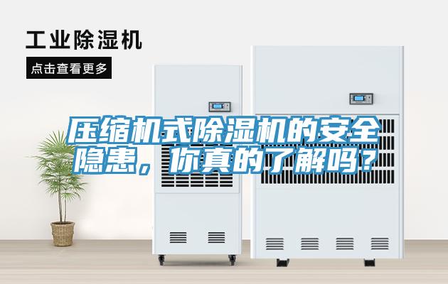 压缩机式除湿机的安全隐患，你真的了解吗？