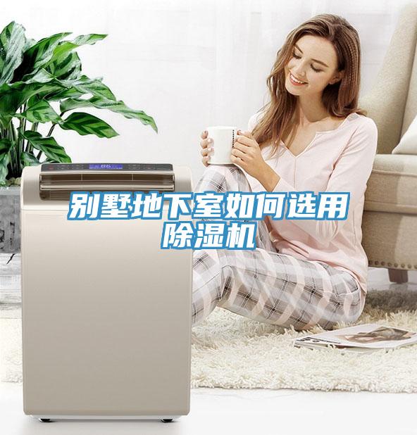 别墅地下室如何选用除湿机