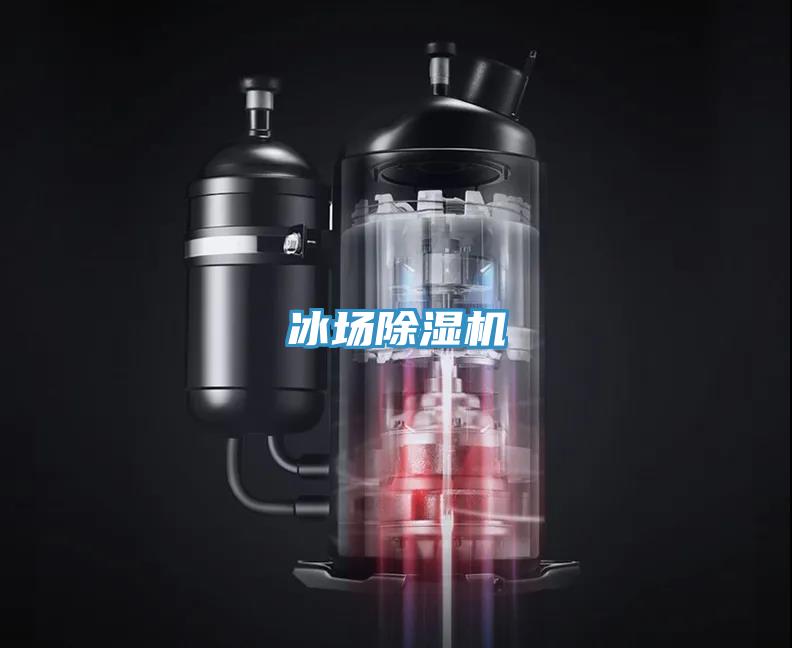 冰场除湿机