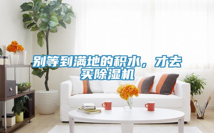 别等到满地的积水，才去买除湿机