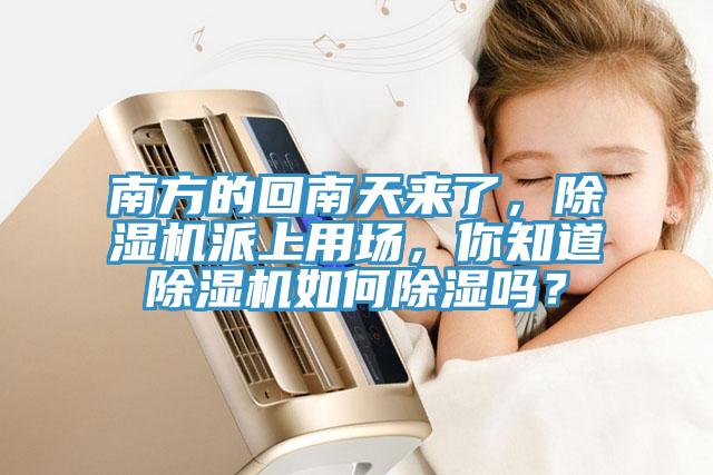 南方的回南天来了，除湿机派上用场，你知道除湿机如何除湿吗？