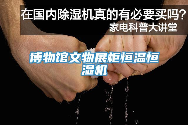 博物馆文物展柜恒温恒湿机