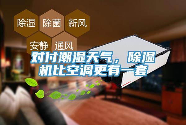 对付潮湿天气，除湿机比空调更有一套
