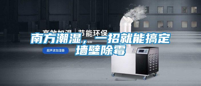 南方潮湿，一招就能搞定墙壁除霉
