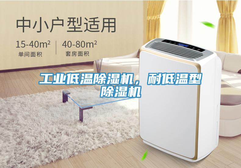 工业低温除湿机，耐低温型除湿机