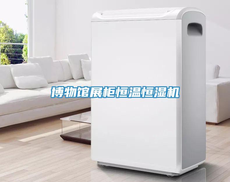 博物馆展柜恒温恒湿机