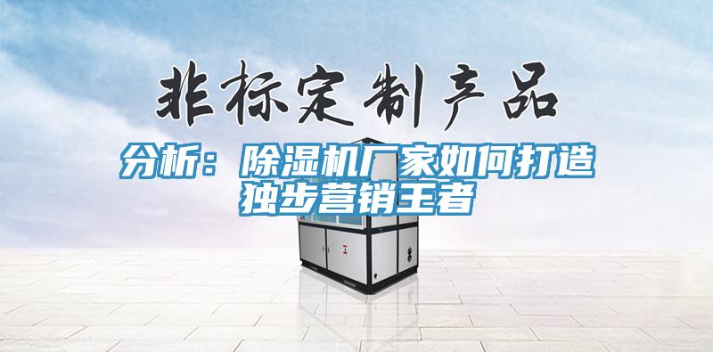 分析：除湿机厂家如何打造独步营销王者