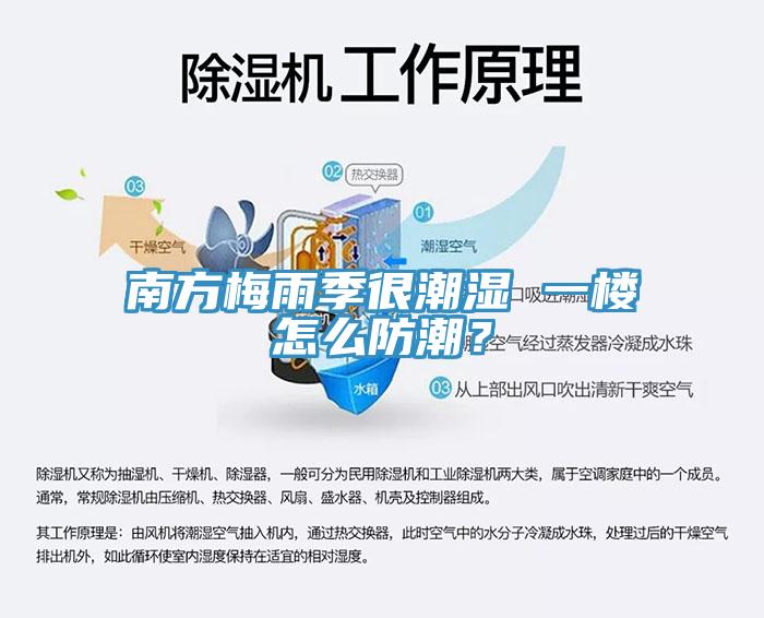 南方梅雨季很潮湿 一楼怎么防潮？