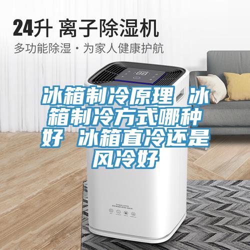 冰箱制冷原理 冰箱制冷方式哪种好 冰箱直冷还是风冷好