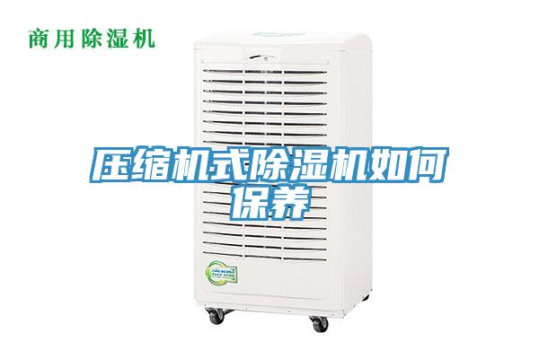 压缩机式除湿机如何保养