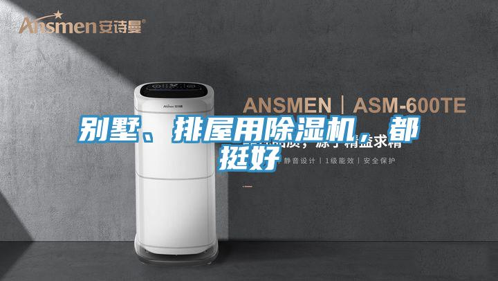 别墅、排屋用除湿机，都挺好