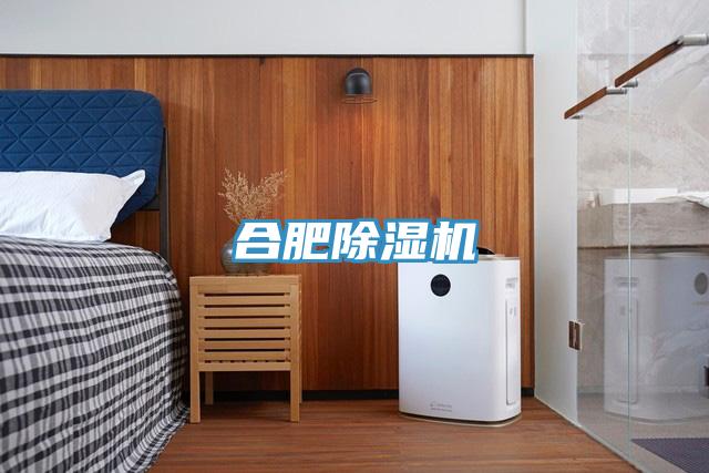 合肥除湿机