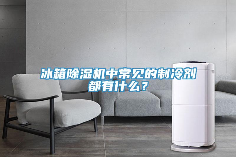 冰箱除湿机中常见的制冷剂都有什么？