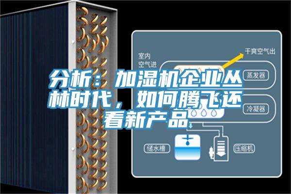 分析：加湿机企业丛林时代，如何腾飞还看新产品
