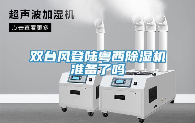 双台风登陆粤西除湿机准备了吗